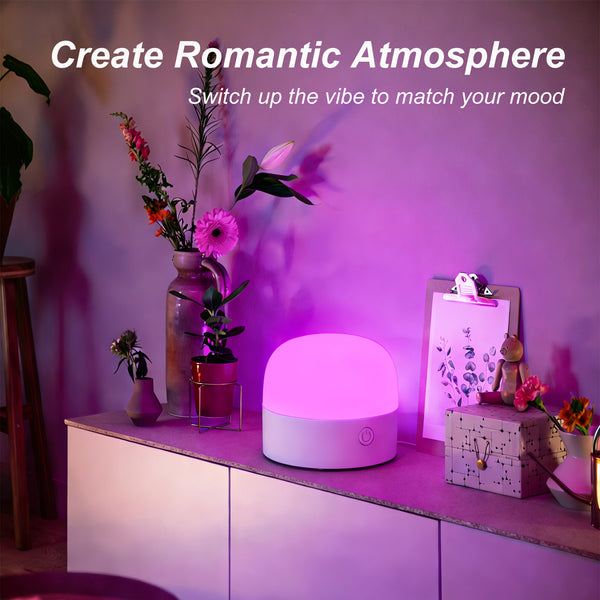 Rechargeable Magnetic LED Light Bulb