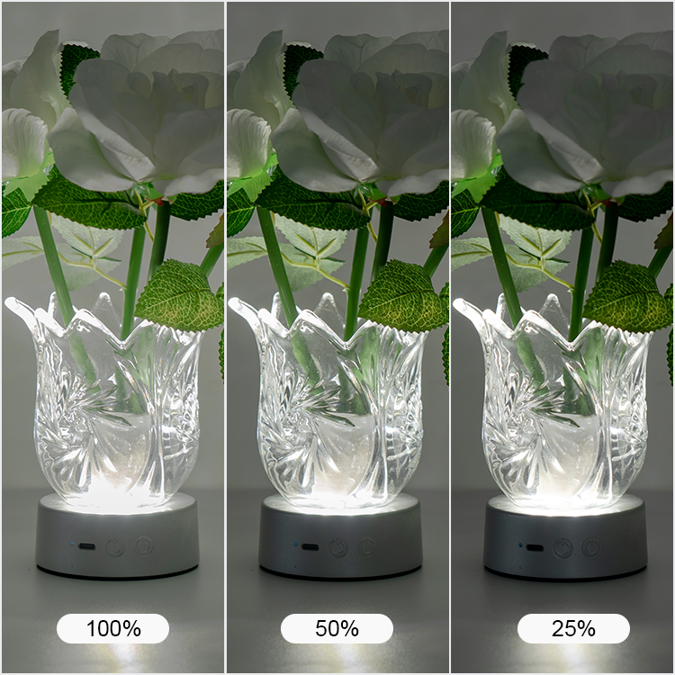 RGB Touch Flower Lantern with Remote Control Night Light | JackonLux