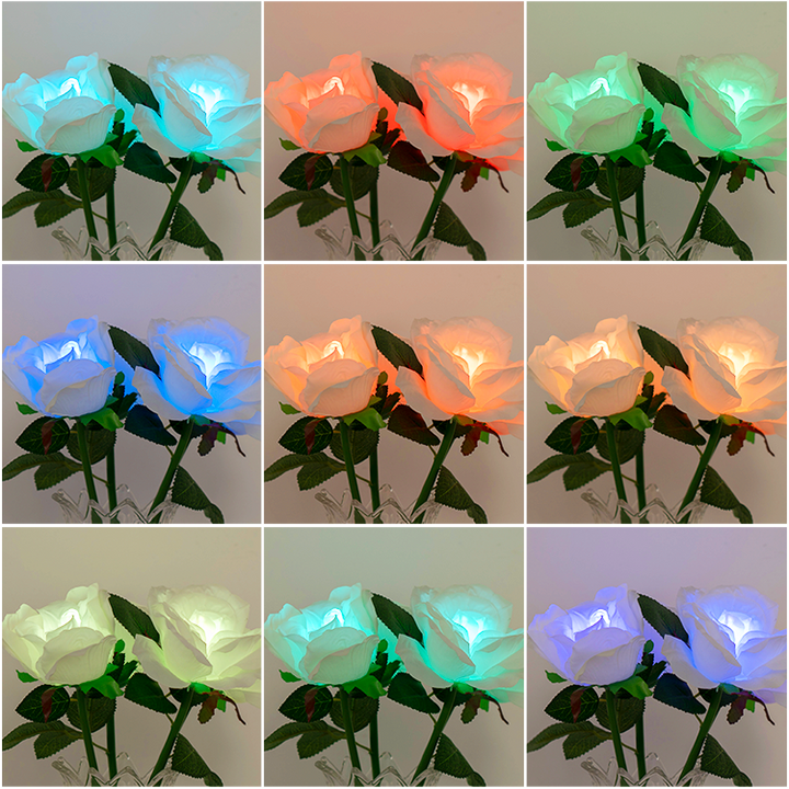 RGB Touch Flower Lantern with Remote Control Night Light | JackonLux