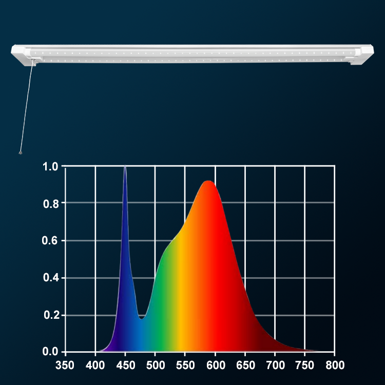 4FT Adjustable Multi-Spectrum Plant Growth Lamp with Timer | JackonLux