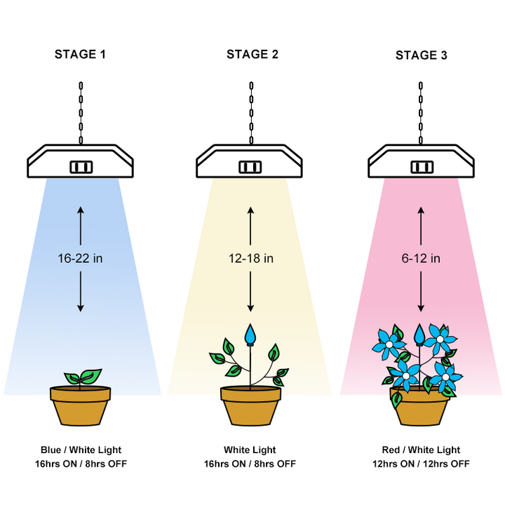 4FT Adjustable Multi-Spectrum Plant Growth Lamp with Timer | JackonLux