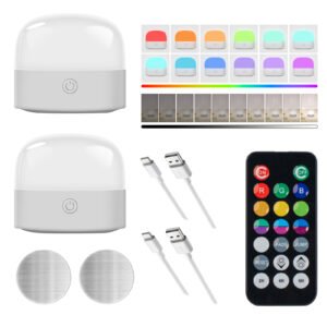 Portable Magnetic RGB Light Bulb（2Pack）